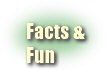 Facts about our area and fun educational info.