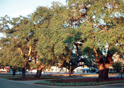 Courthouse Square Park